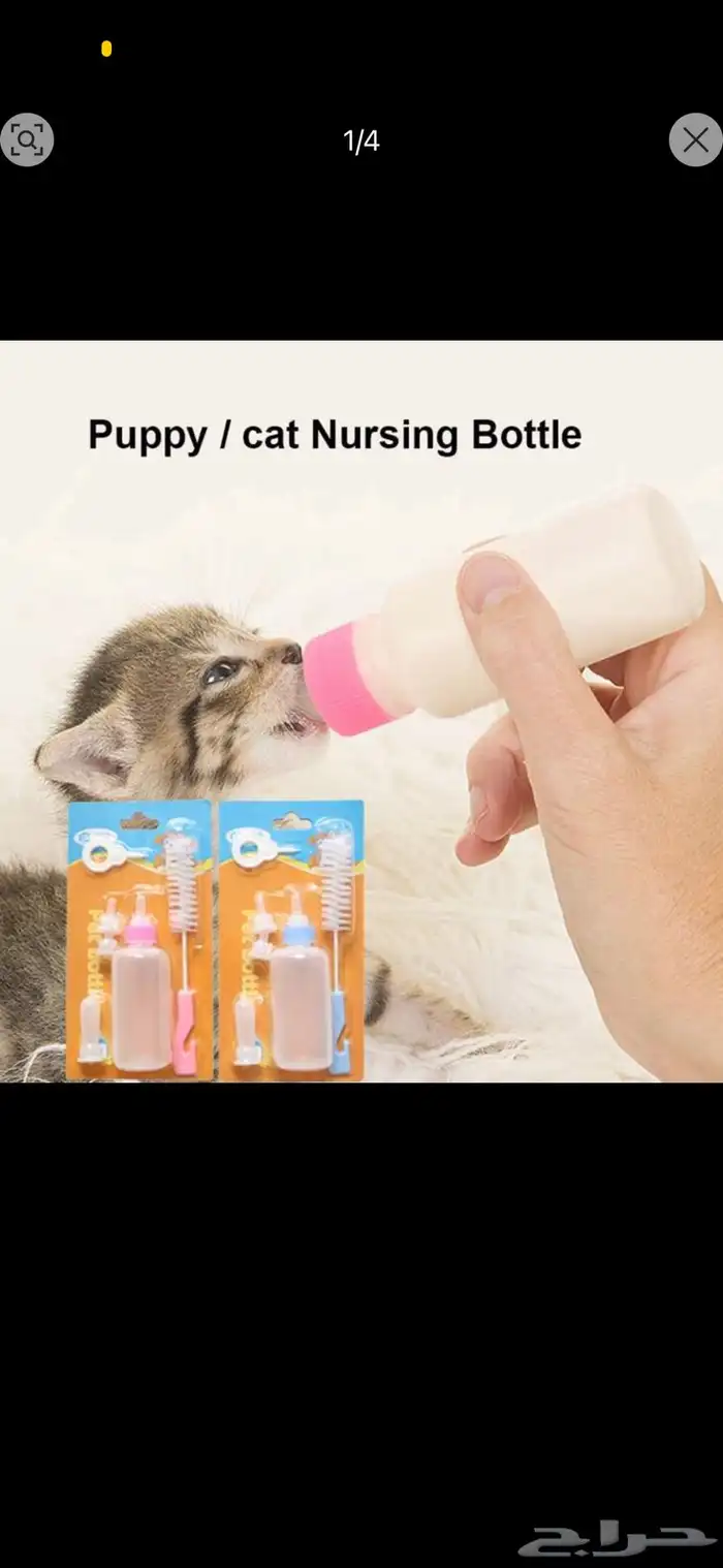 مستلزمات قطط 14