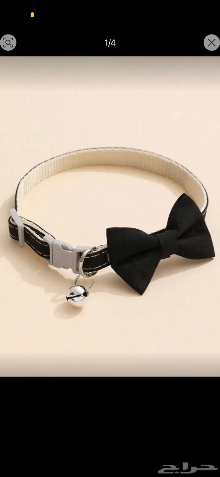 مستلزمات قطط 24