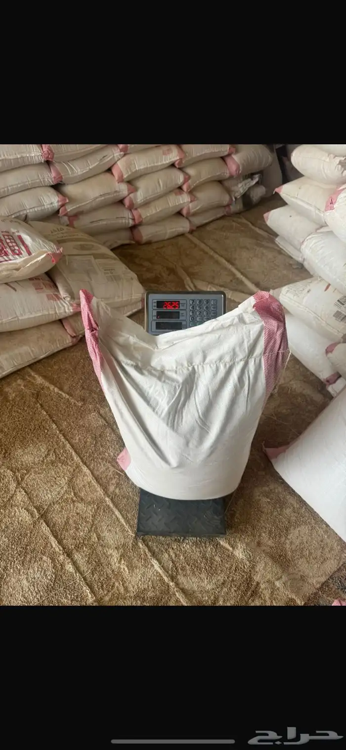 بذر هيبان مخلوط مع بر 0