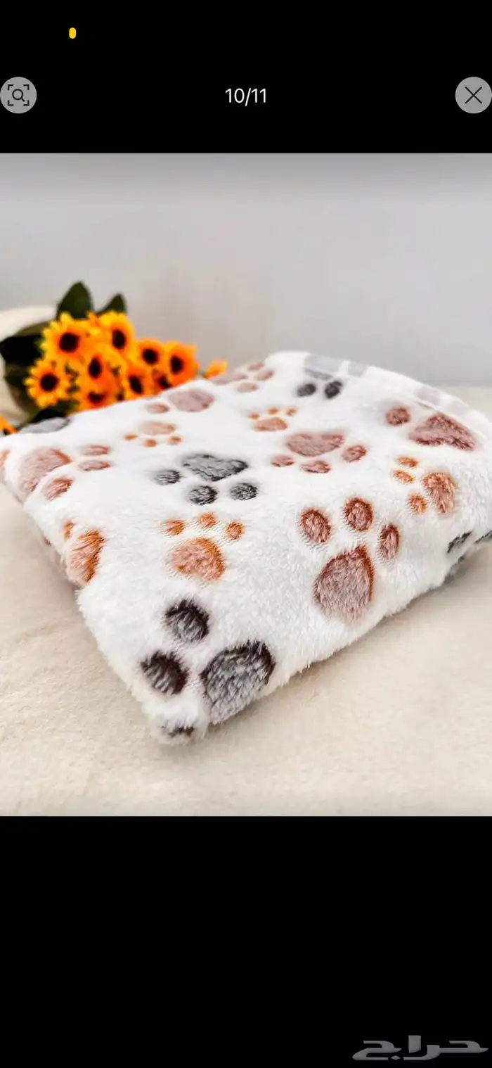 مستلزمات قطط 10