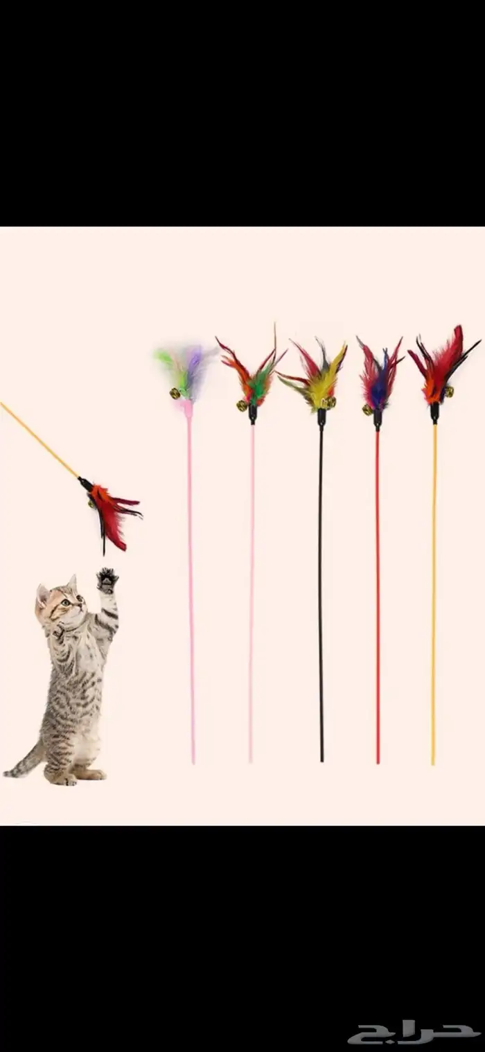 مستلزمات قطط 4