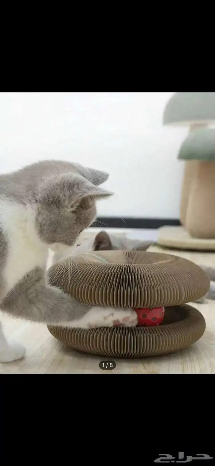 مستلزمات قطط 3