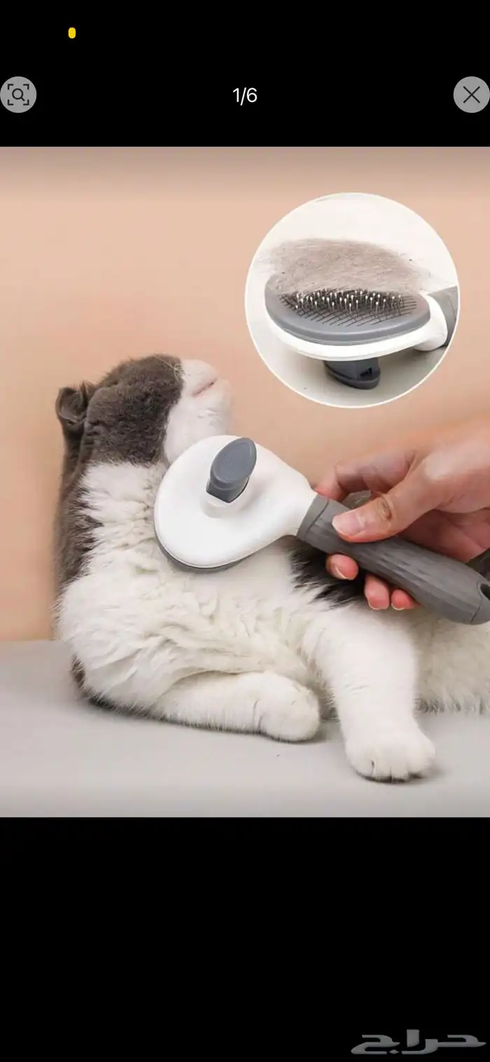 مستلزمات قطط 25