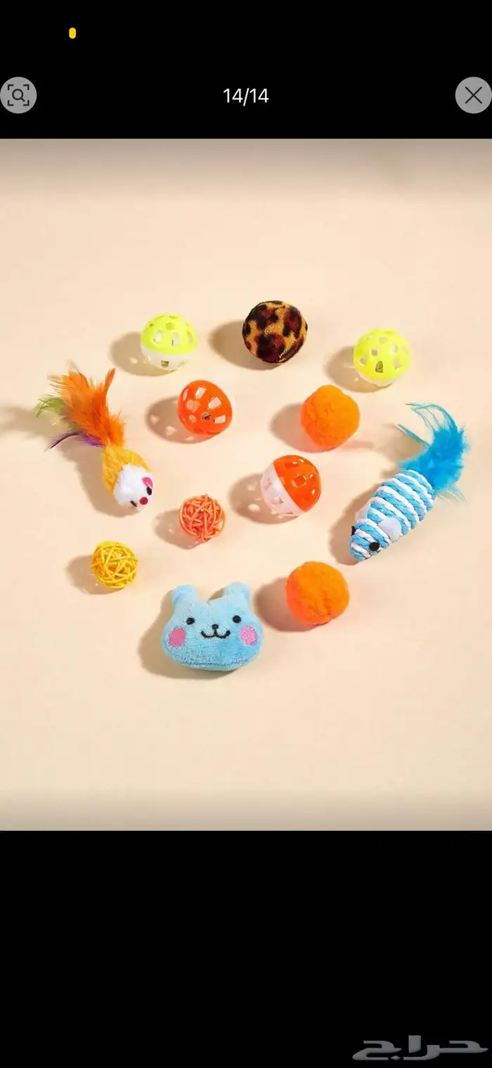 مستلزمات قطط 11