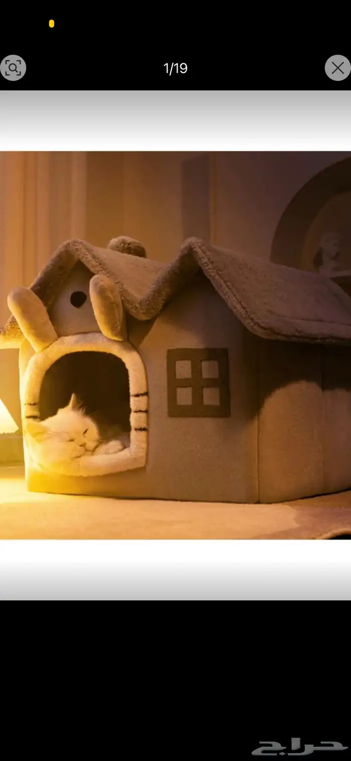 مستلزمات قطط 26