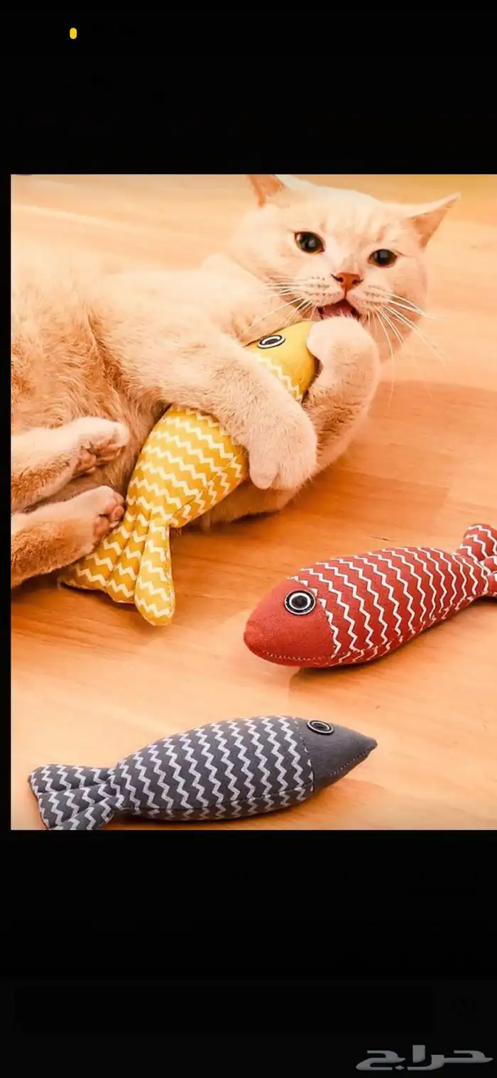 مستلزمات قطط 19