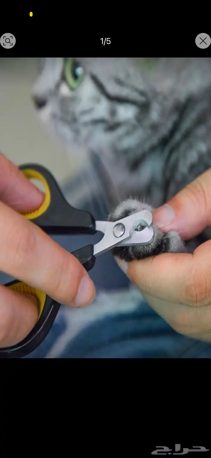 مستلزمات قطط 17