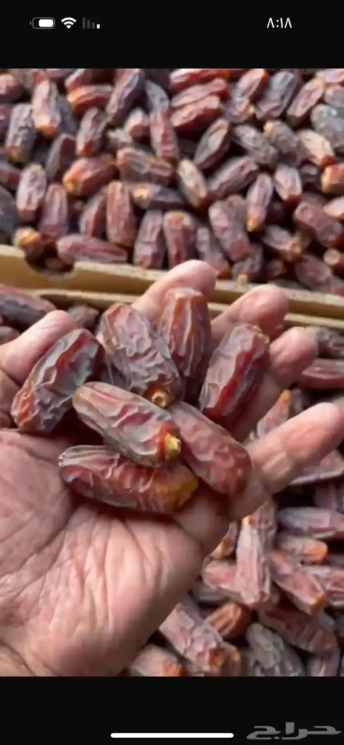 مبروم العلا فاخر 2