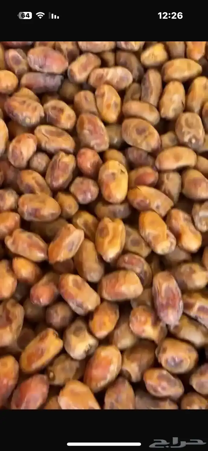 تمور السنه جديده خلاص 2