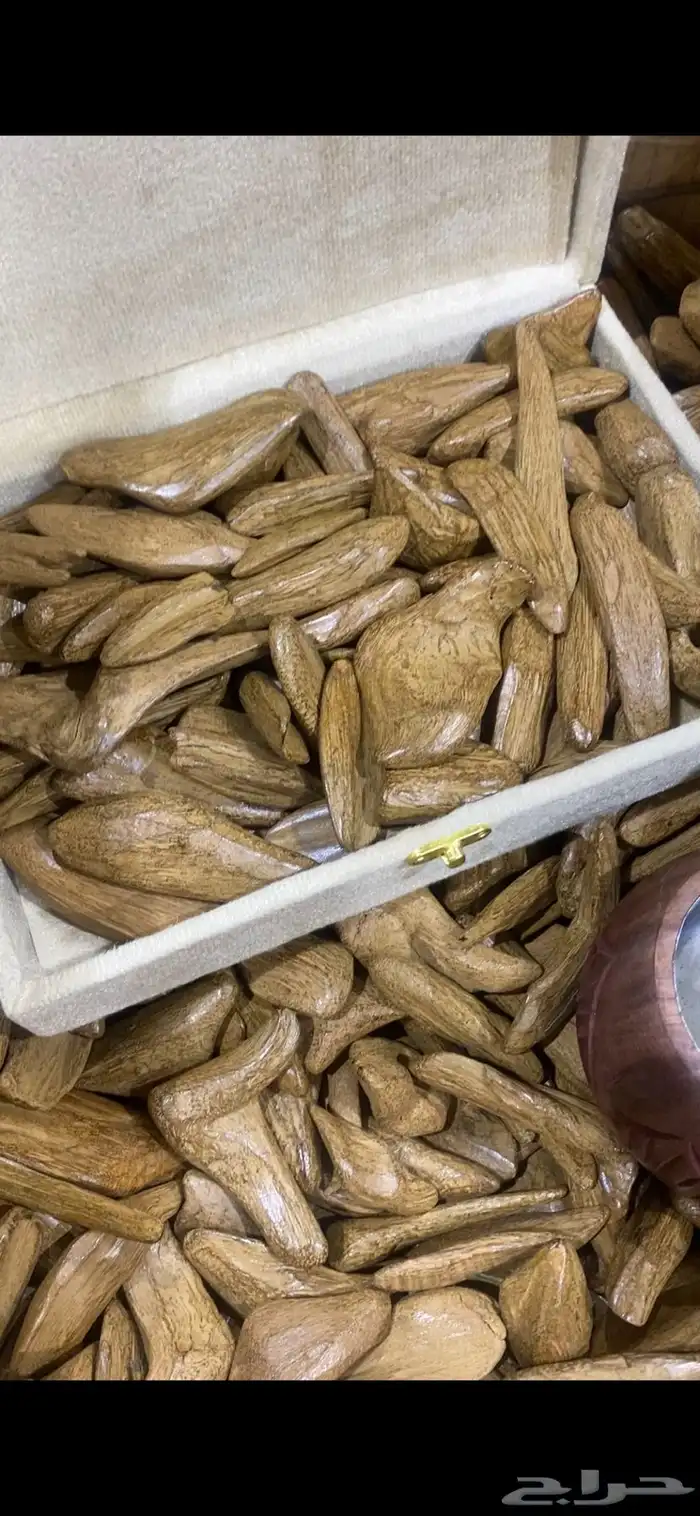 عود مروكي طبيعي محسن بيور ونقي جدا  وفاخر 1