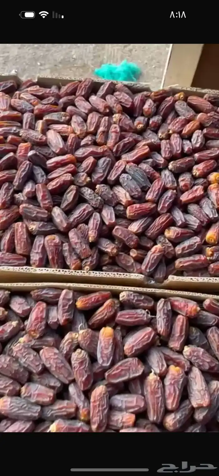 مبروم العلا فاخر 3