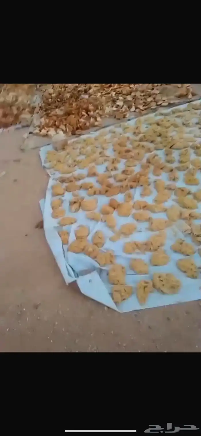 سنبوسه وعجين للبيع 2