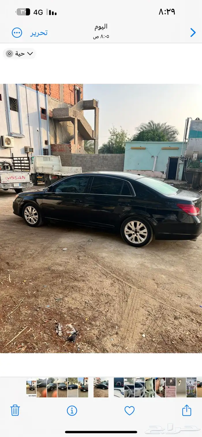 افالون 2009 القنفذه 12