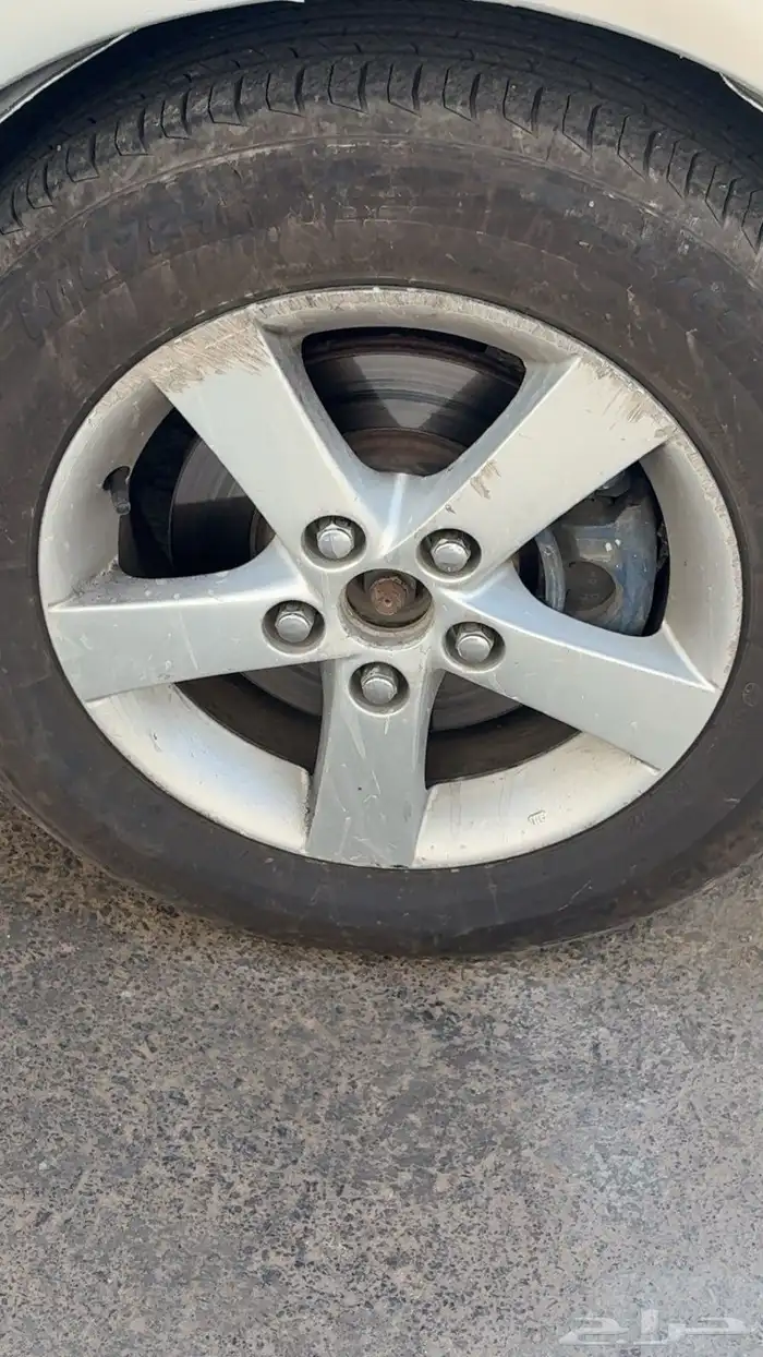 جنوط نجمة للبيع 0