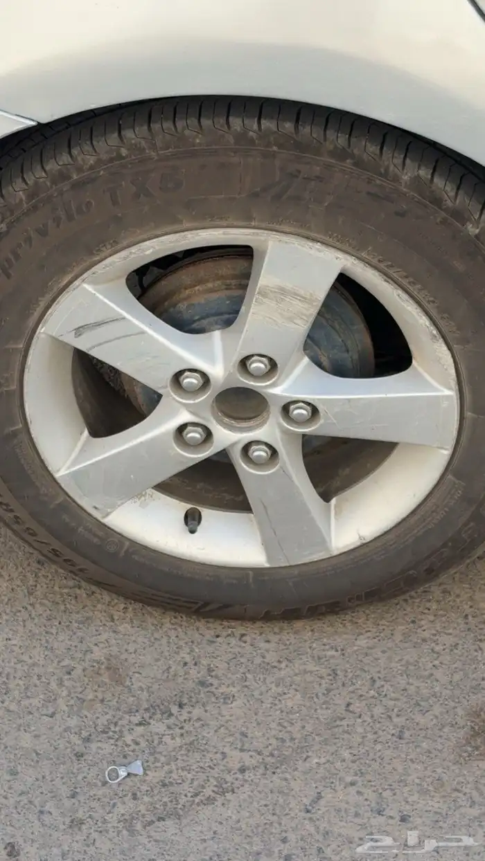 جنوط نجمة للبيع 3