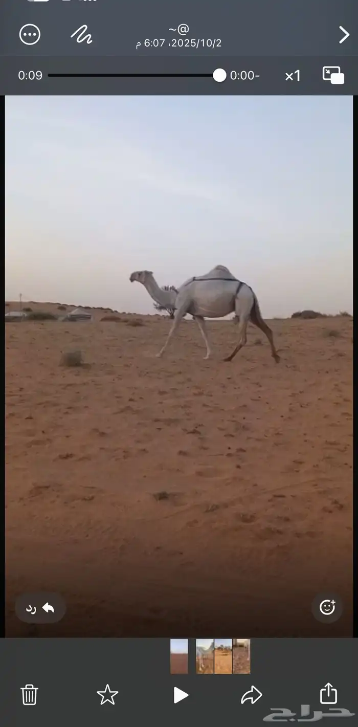 للبيع خلفه وضحا 1