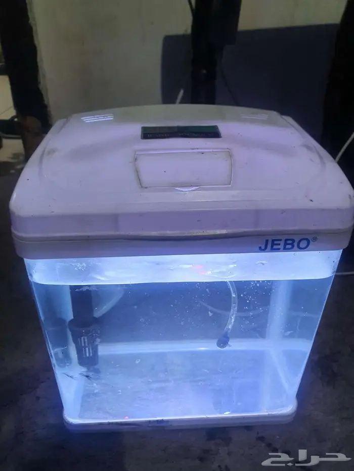 الدمام حي الاثير 2