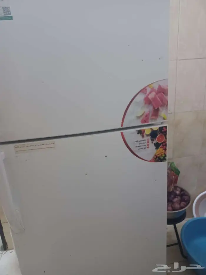 مكه المكرمه الجميزه 0