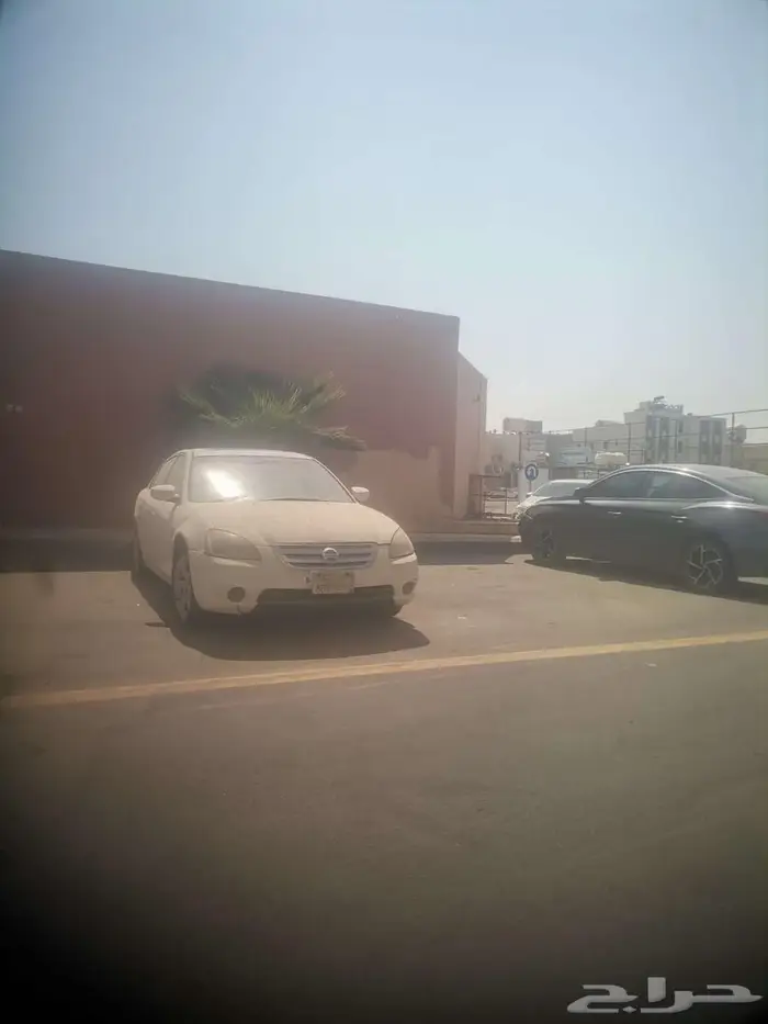 التيما 3