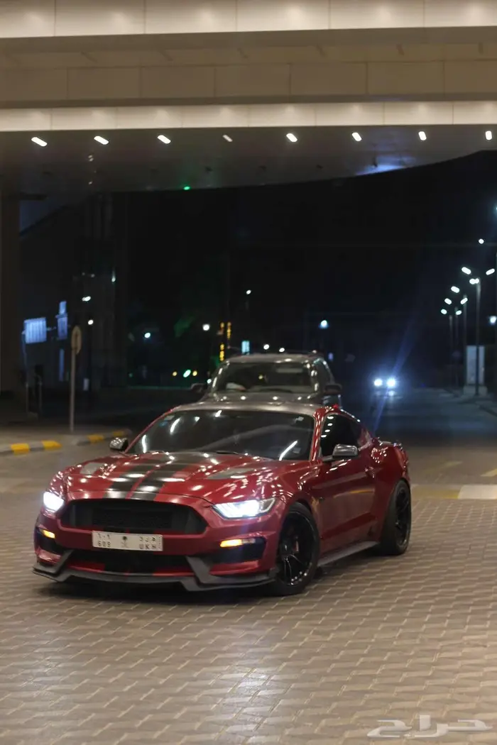 موستنج 5.0 3
