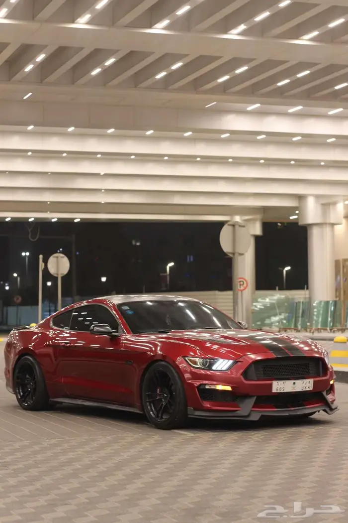 موستنج 5.0 1