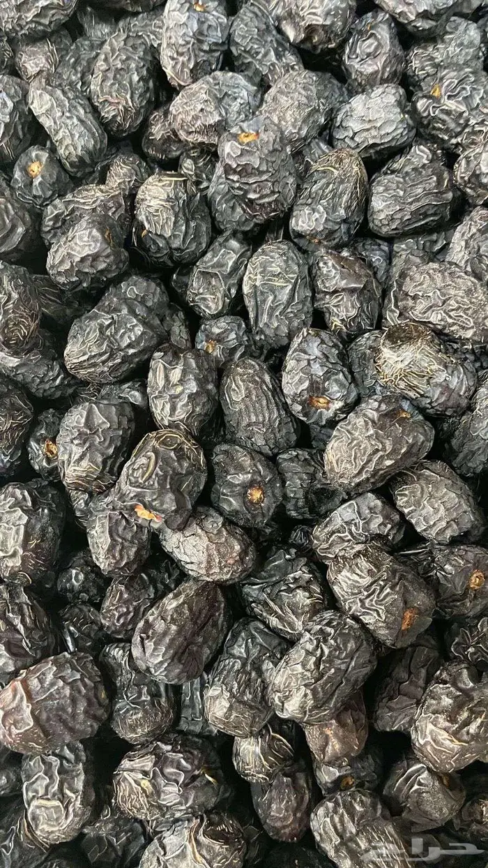 مبرم . صفاوى. عجوه المدينه 1