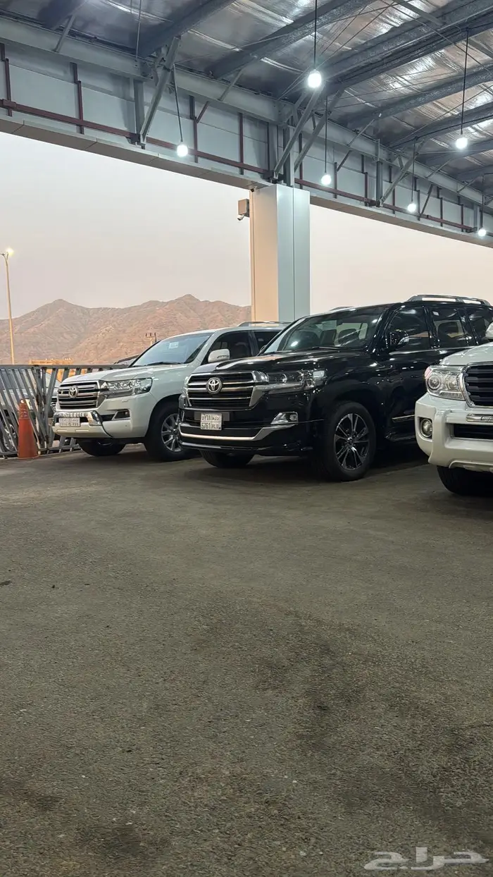 جيب صالون تورنق رقم 4 موديل 2020 2