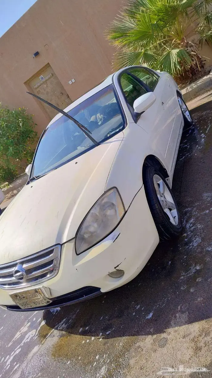 التيما 1
