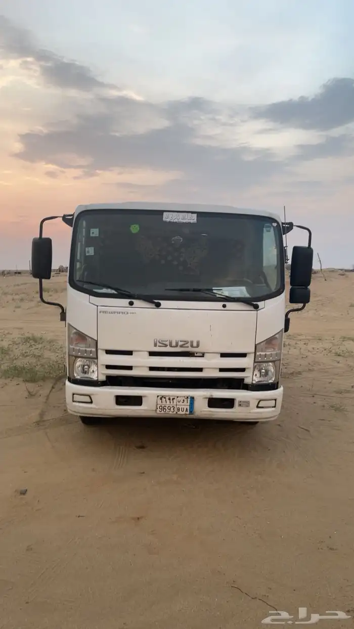 دينا 2014 باخشب 1