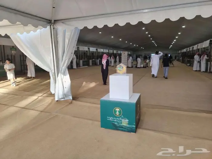 تأجير خيام اوربية من اكسبولا 0