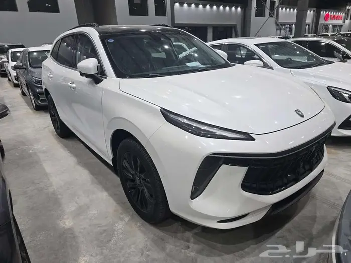 دونج فينج فورثينج T5 EVo موديل 2023 سعودي 1