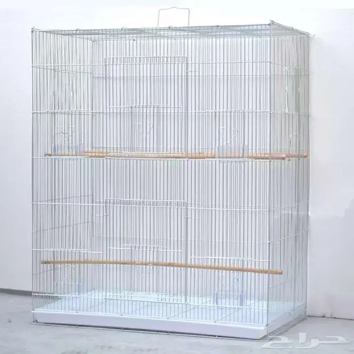 طيور زينة ومستلزماتها محل نوادر خميس مشيط 80