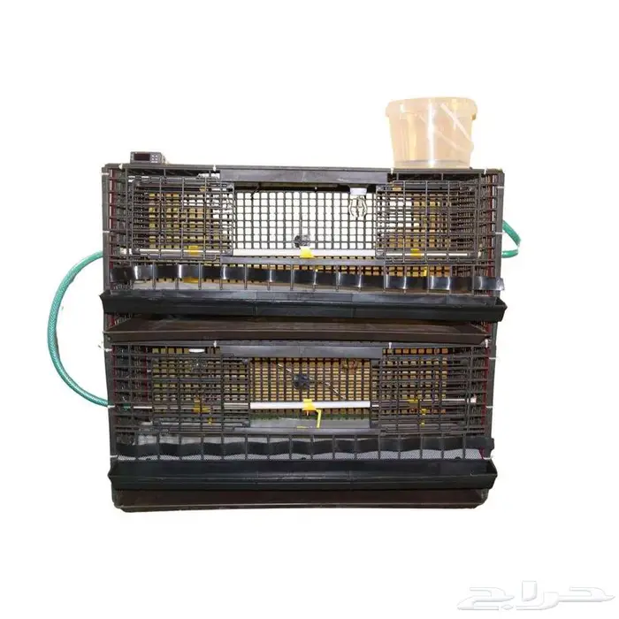 حاضنة فروخ دورين سعة 300 طير 2