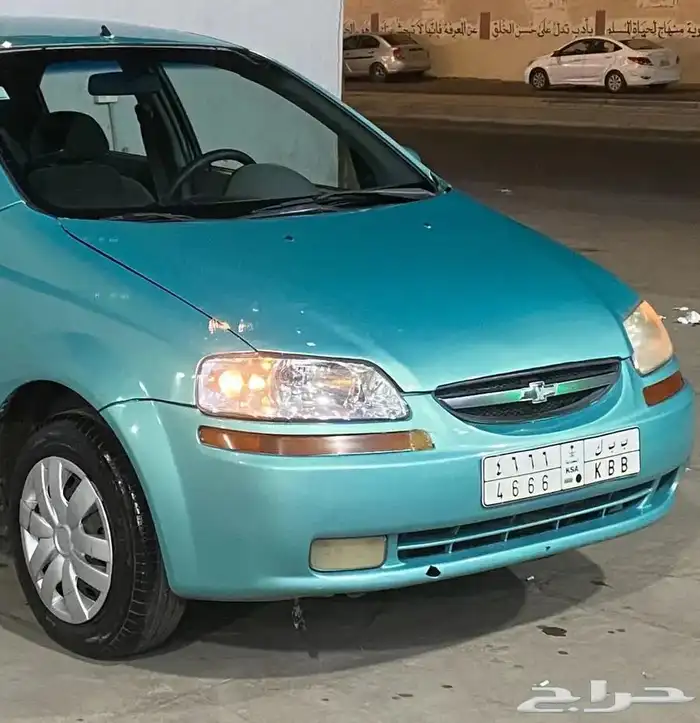 لوحة مميزة مع اوراقها جديدة 1