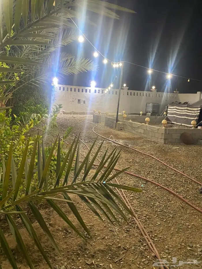 استراحه للإيجار تنفع سكن عمال 15