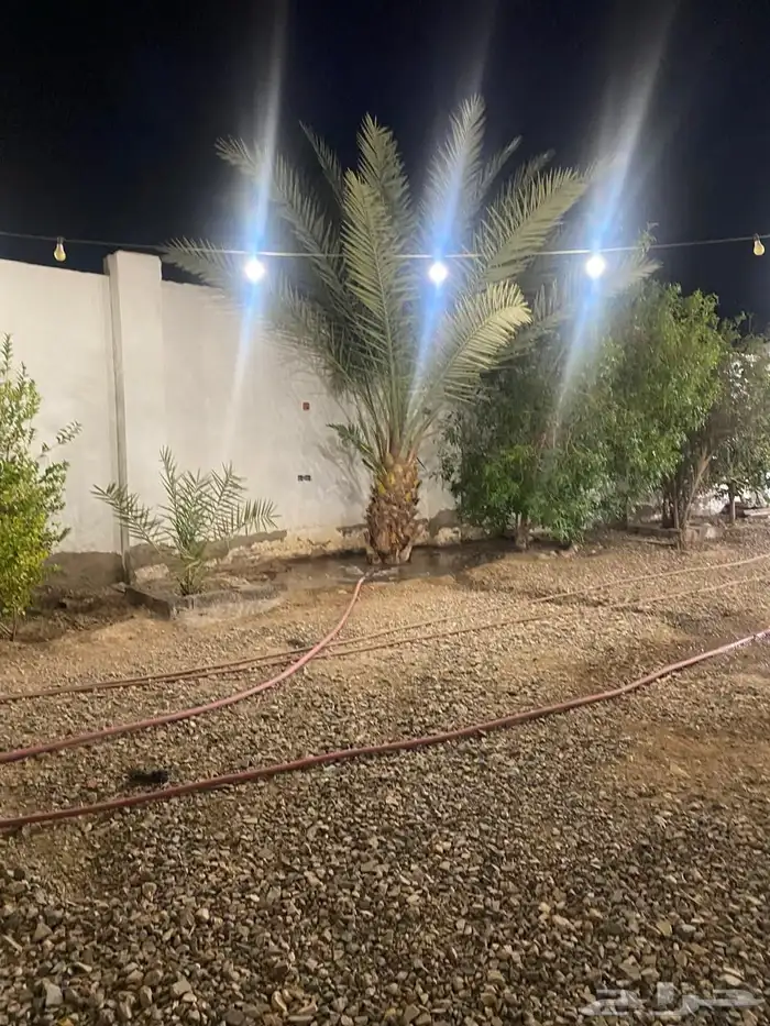 استراحه للإيجار تنفع سكن عمال 1