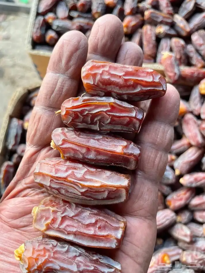 مبروم العلا فاخر 0