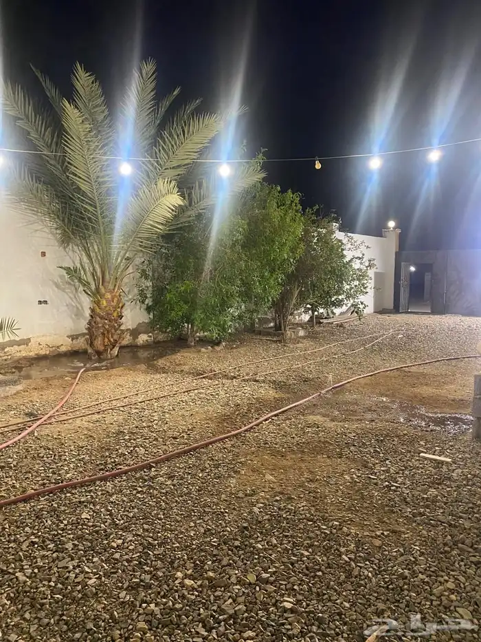 استراحه للإيجار تنفع سكن عمال 2
