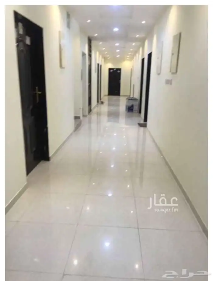 شقه للايجار 1
