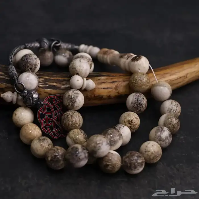 سبحة قرن الغزال ( الأيل الأوروبي ) 2