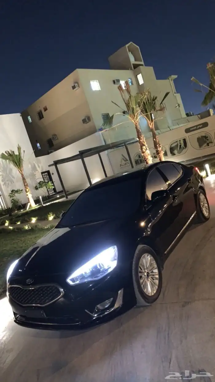 كادينزا 2016 0