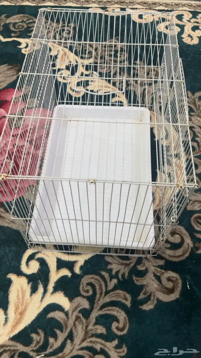 قفص طيور مستعمل بسيط 2
