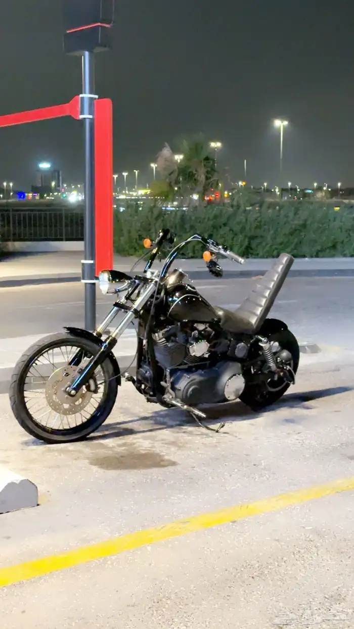 وايد قلايد 2011 1