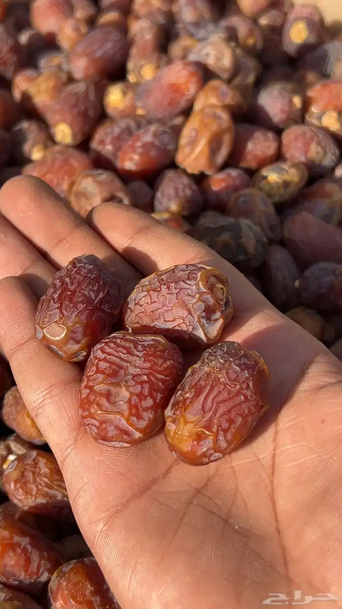 تمر خلاص وادي احمر صافي فاخر ومفروز 1