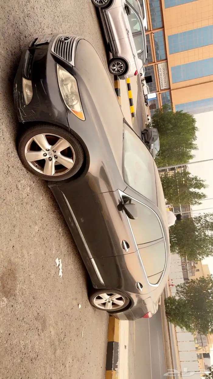 لكزس شورت امريكي 10