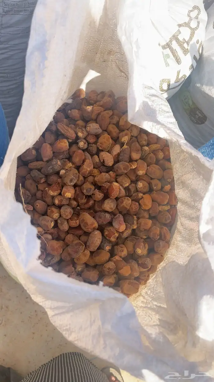 تمر علف نظيف 1