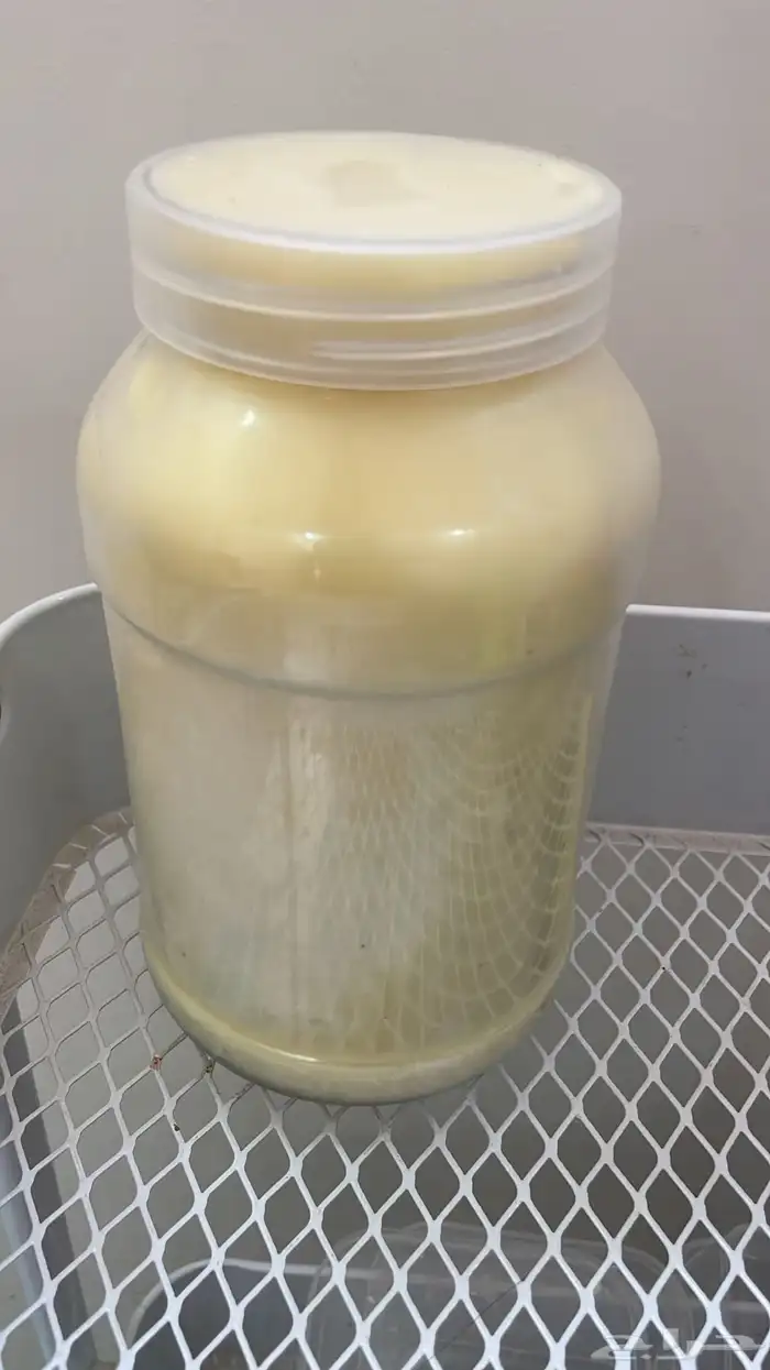 سمن غنم وضأن فاخر 3