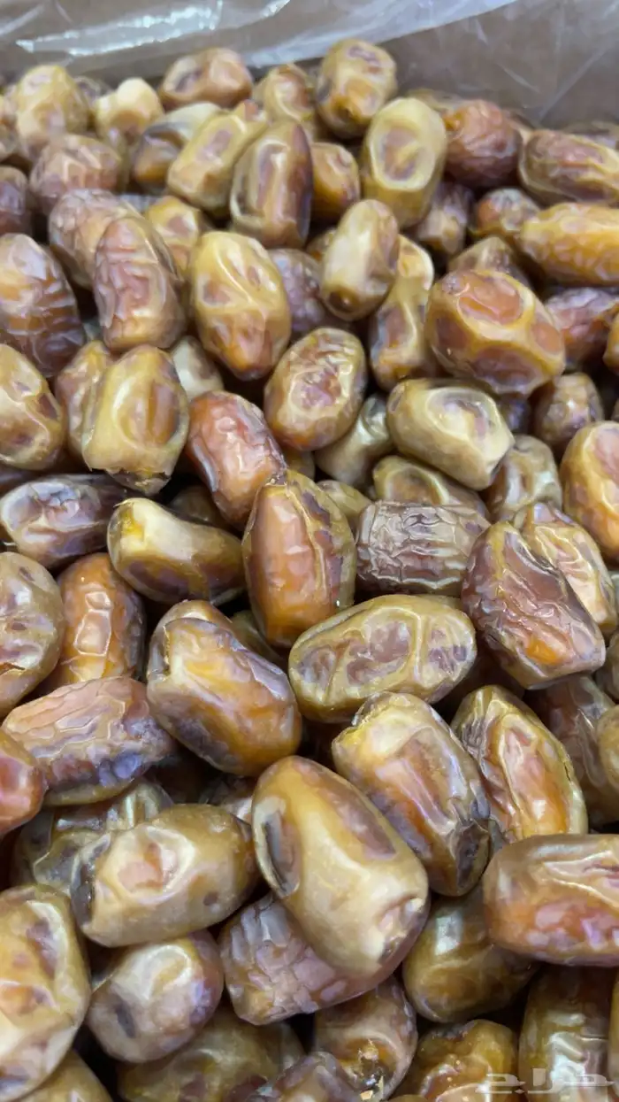 تمر منيفي 1