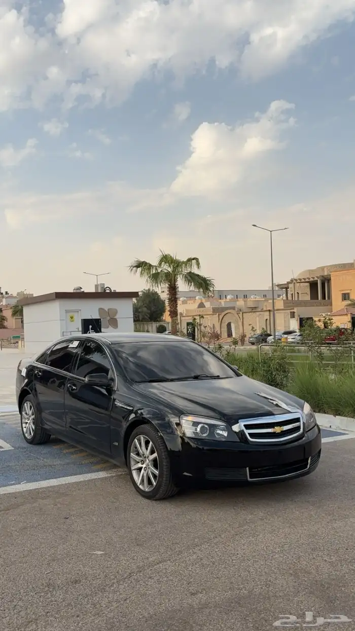 كابرس 14 zr1 1