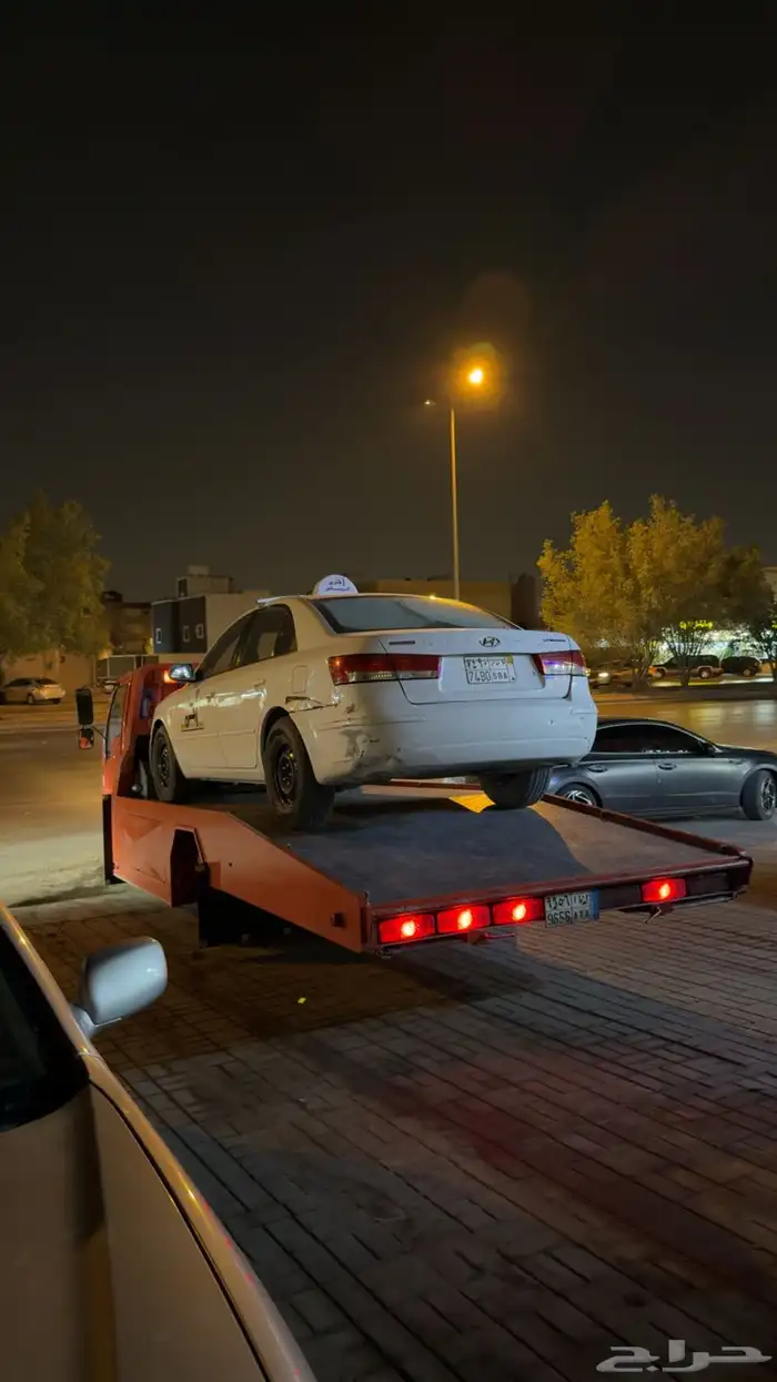 (سطحة بيشة) 4